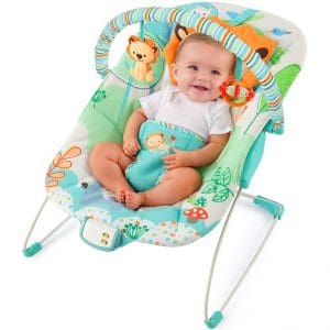 Baby Bouncers or Rockers