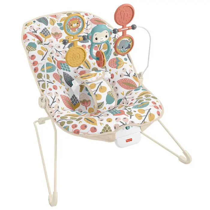 Baby Bouncer - Image 2